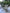 Fotoliu HANGarOund – Tropico