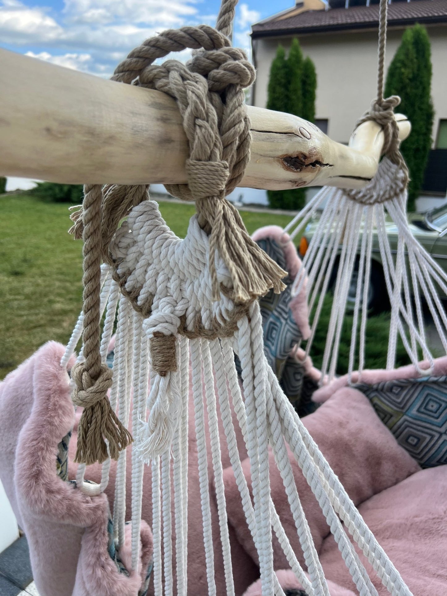 Aurelia - HANGAROUND