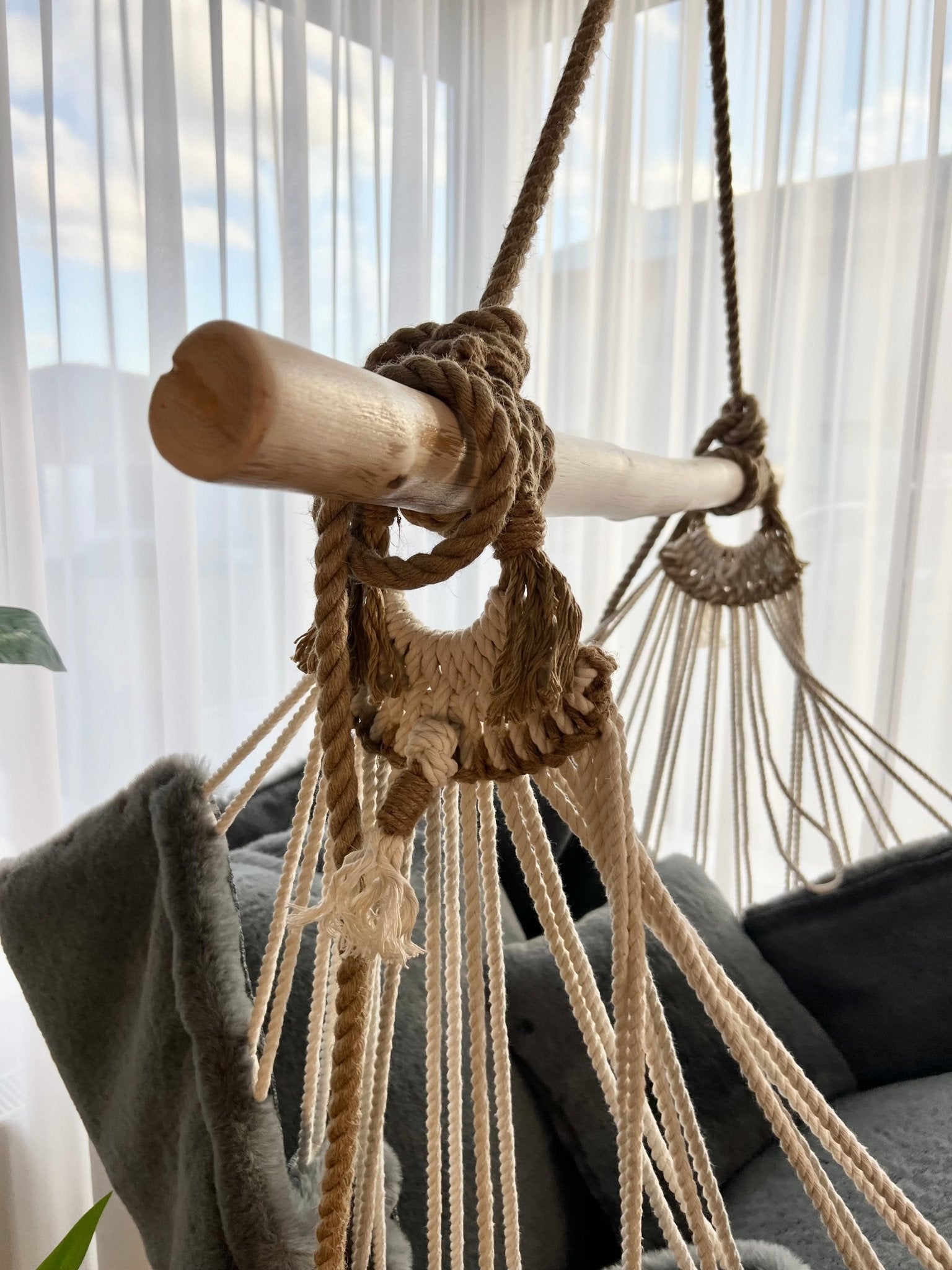 Cozy Supreme - HANGAROUND