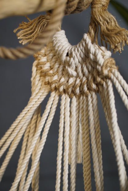 Poveste de catifea - HANGAROUND