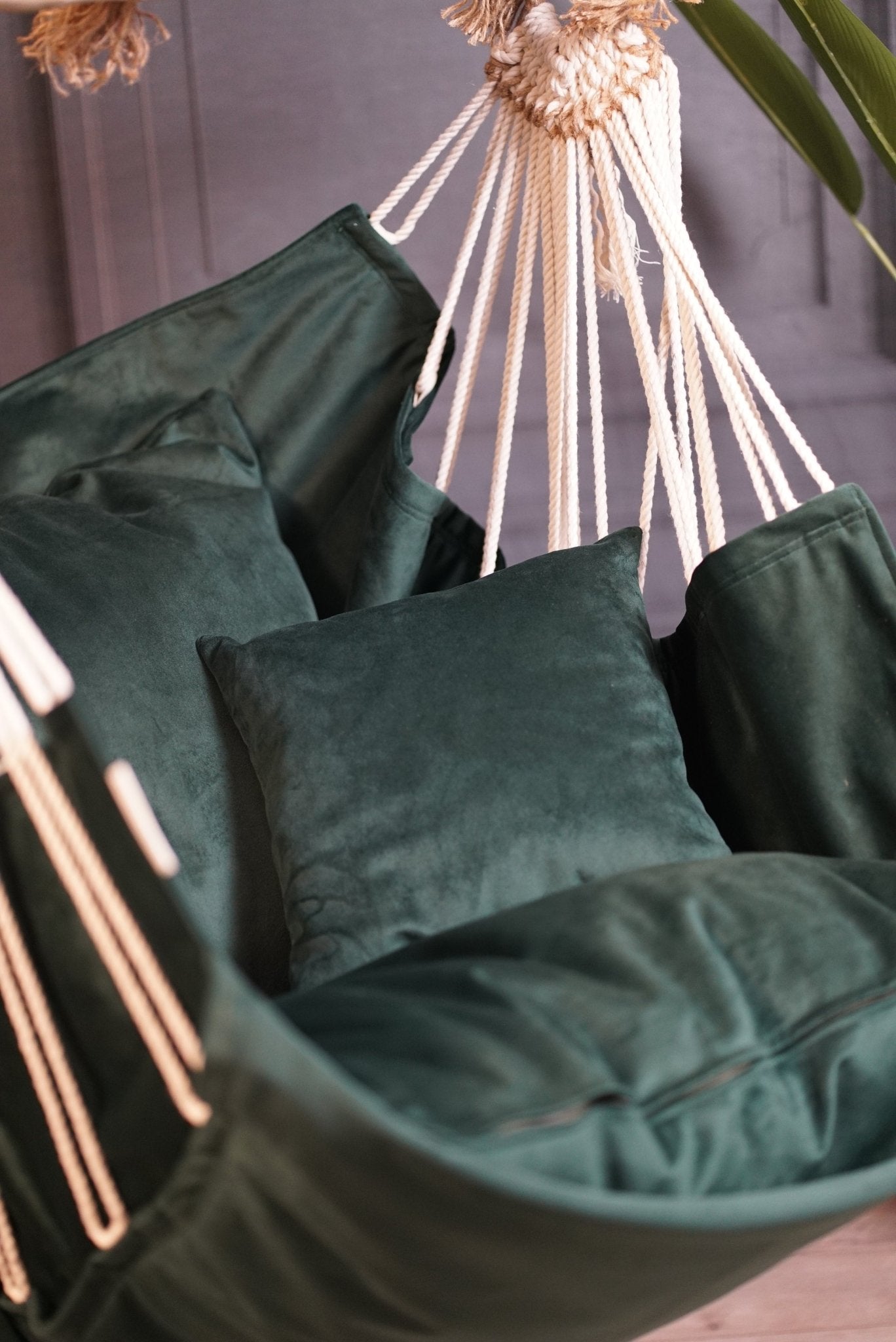 Poveste de catifea - HANGAROUND