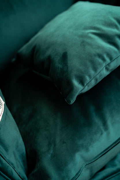 Poveste de catifea - HANGAROUND