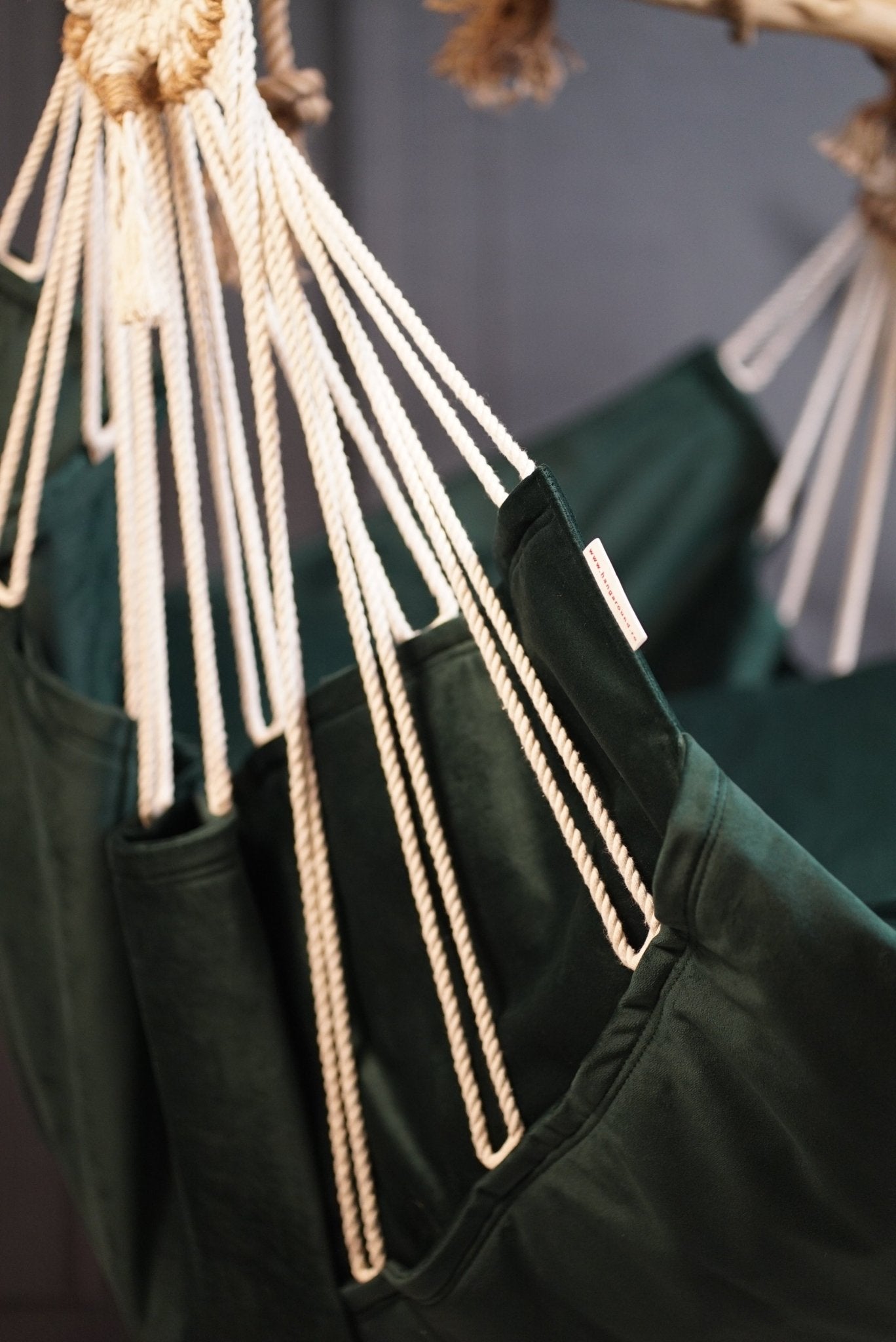 Poveste de catifea - HANGAROUND