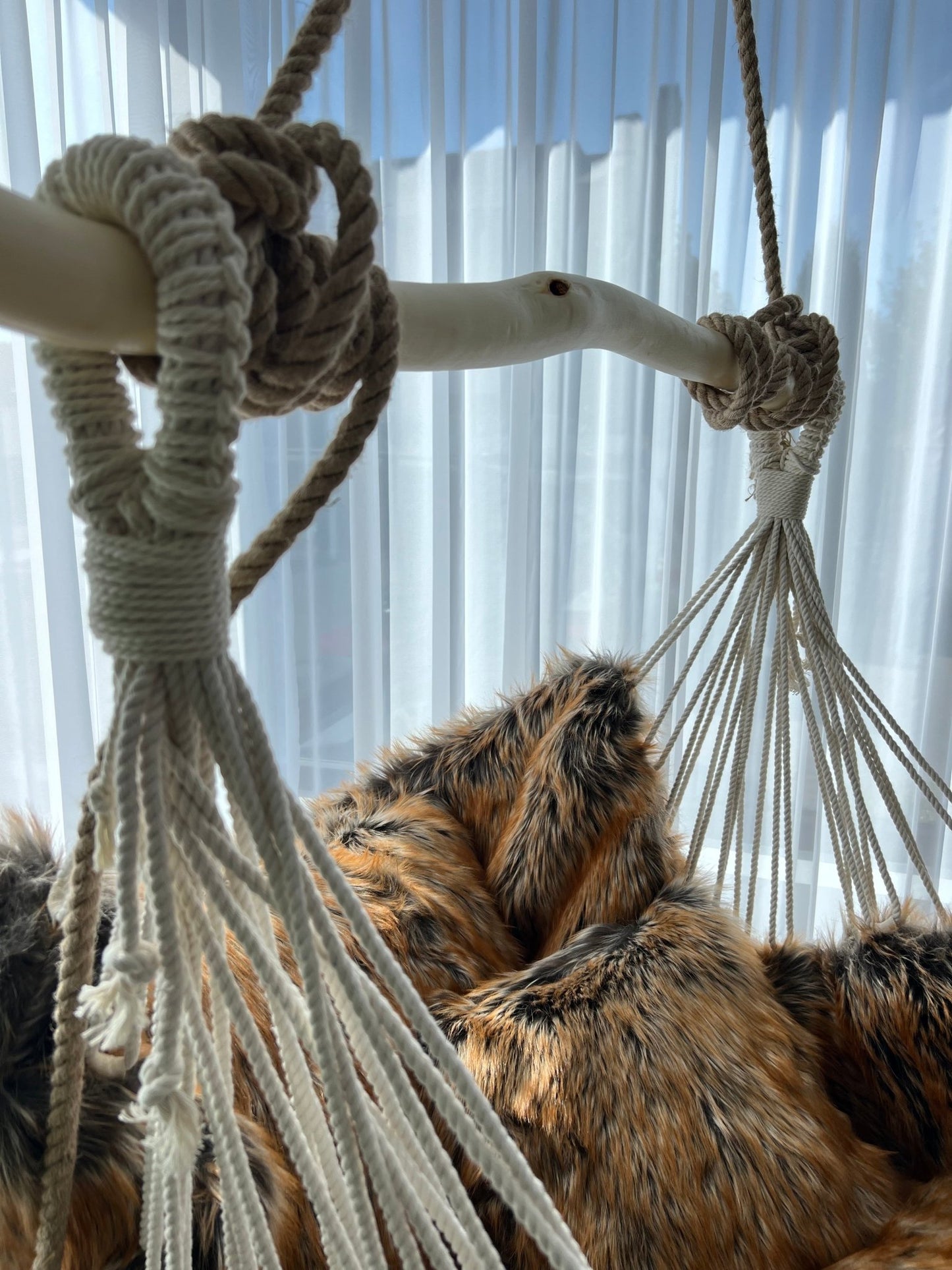 Trofeu regal - HANGAROUND