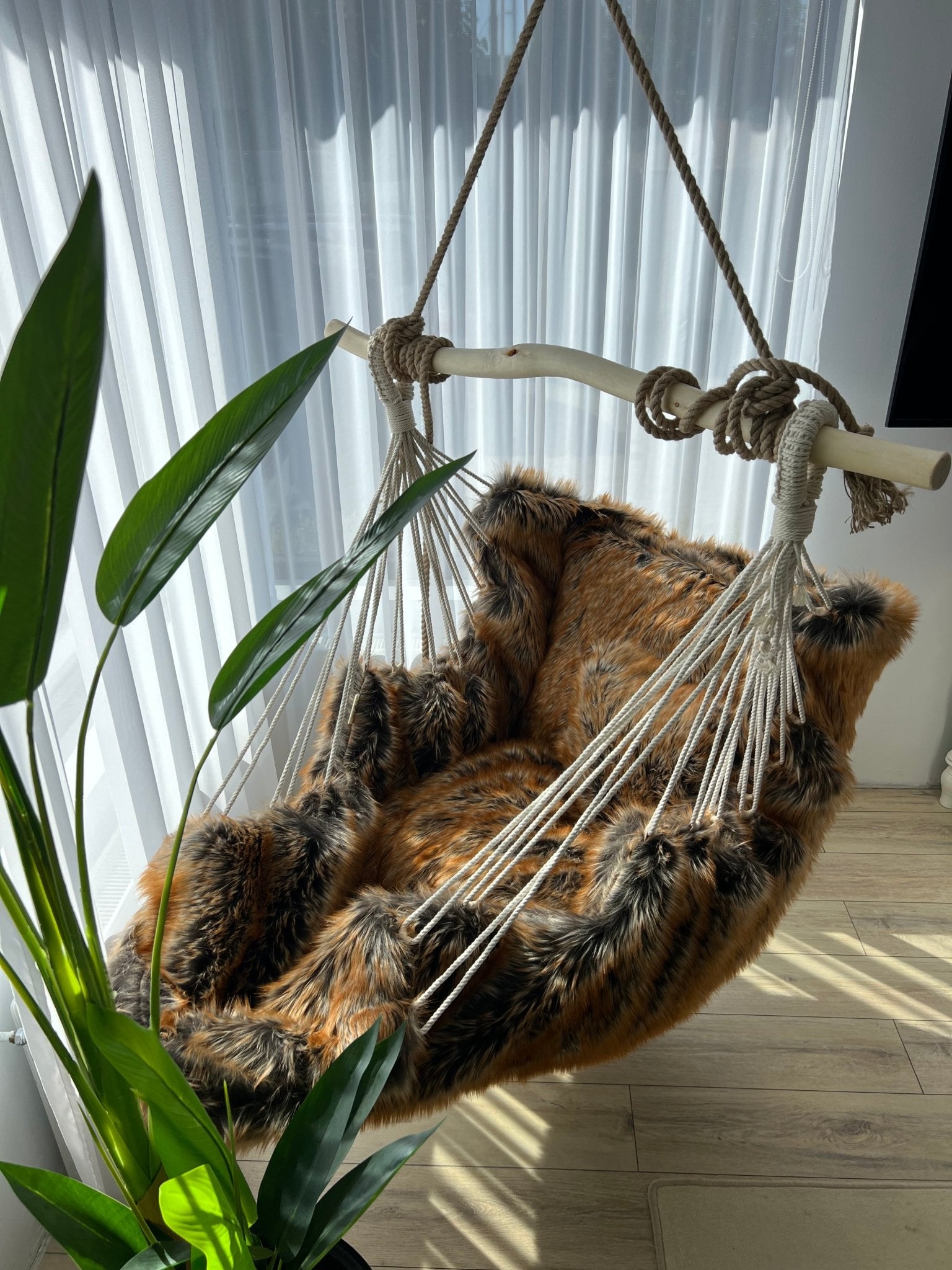 Trofeu regal - HANGAROUND