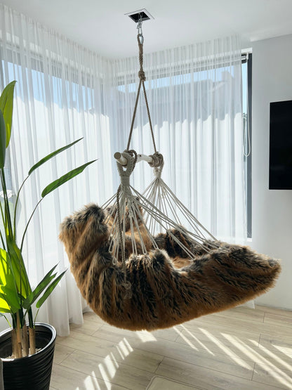 Trofeu regal - HANGAROUND