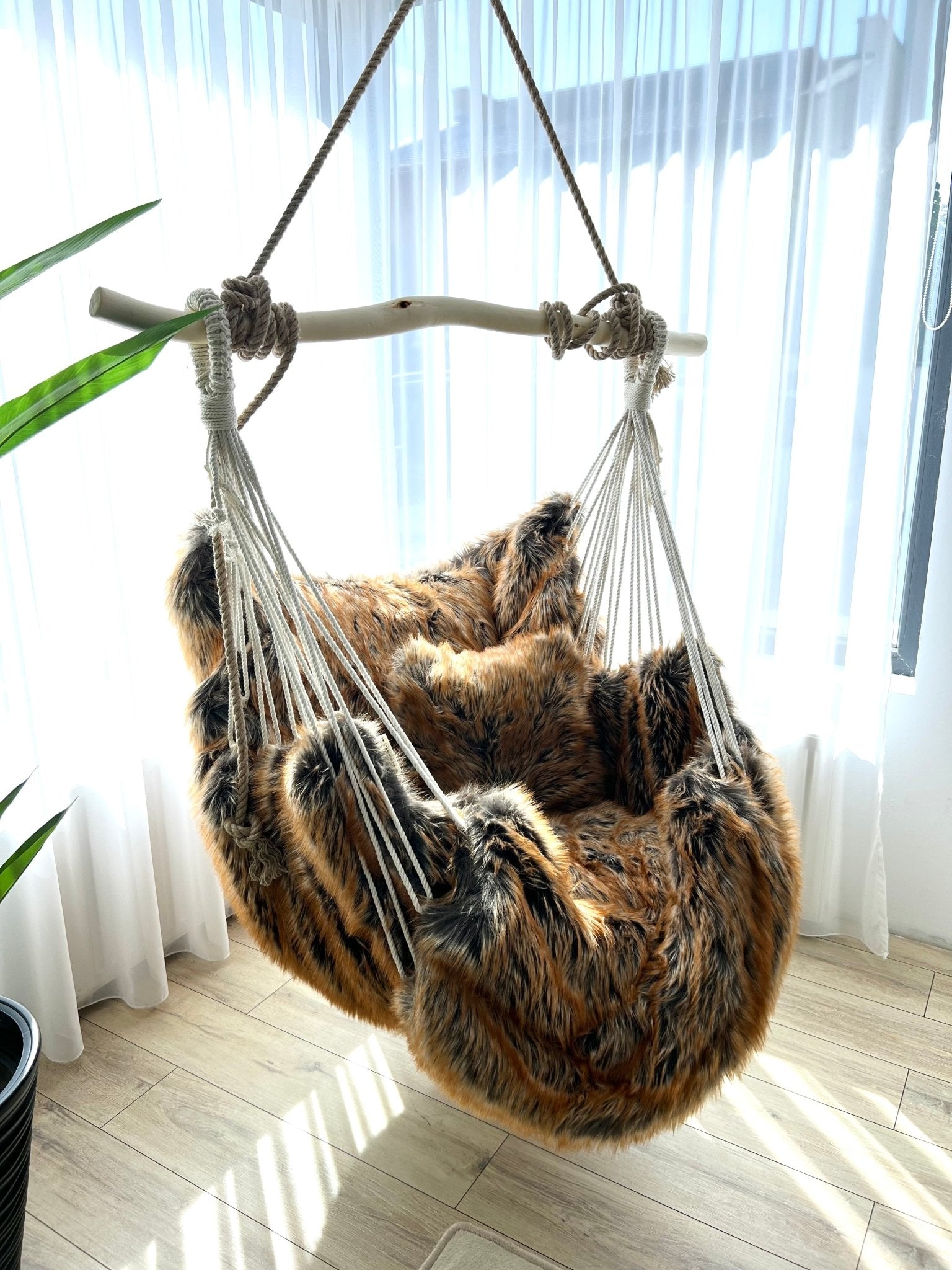 Trofeu regal - HANGAROUND