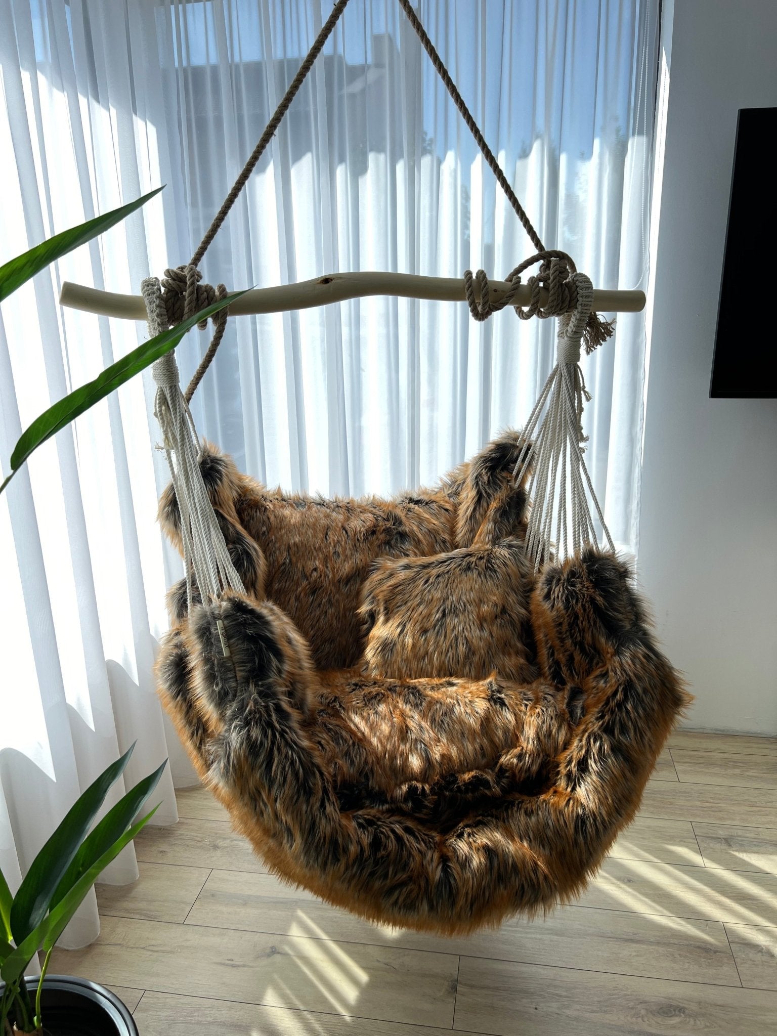 Trofeu regal - HANGAROUND