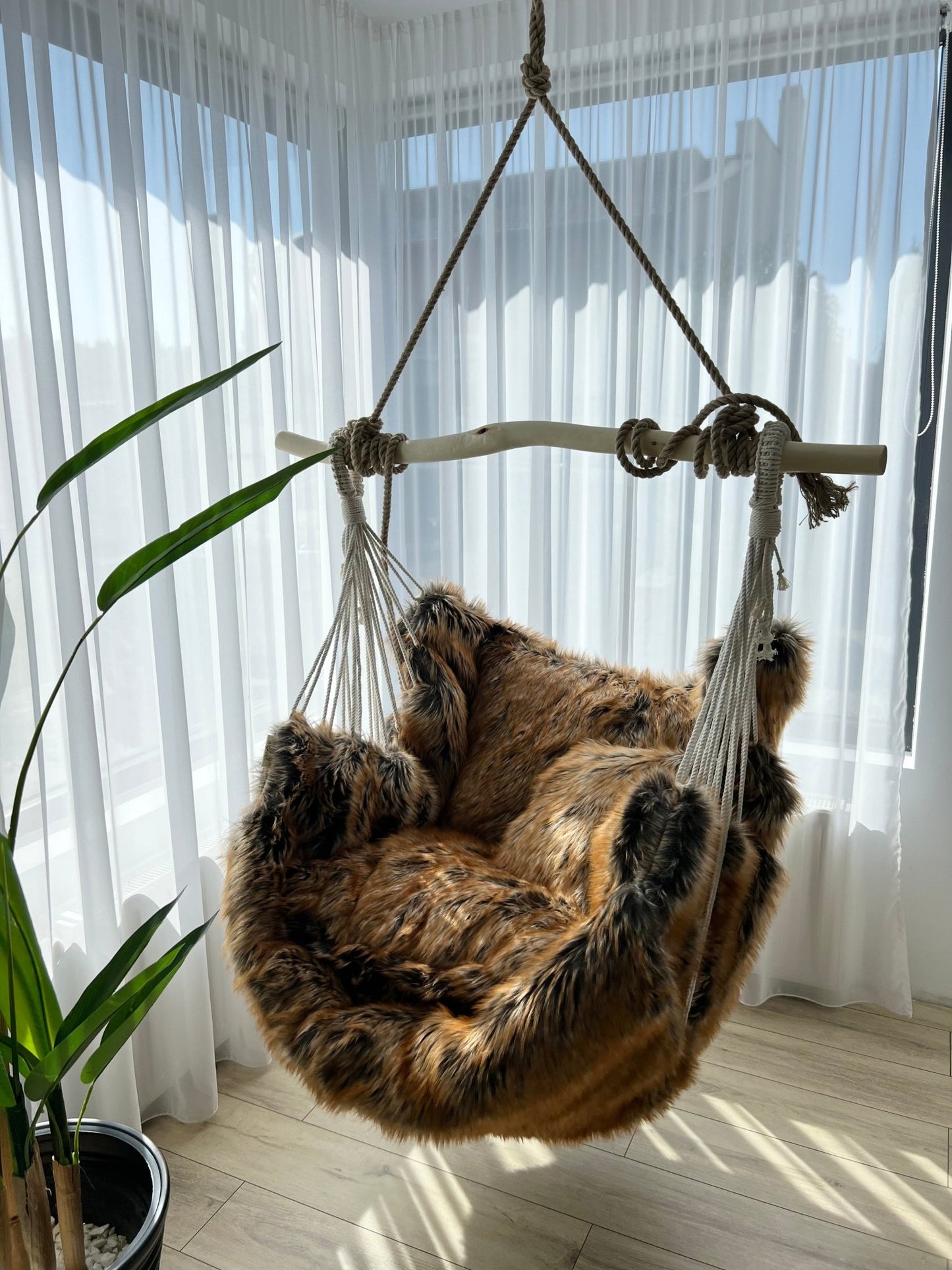 Trofeu regal - HANGAROUND